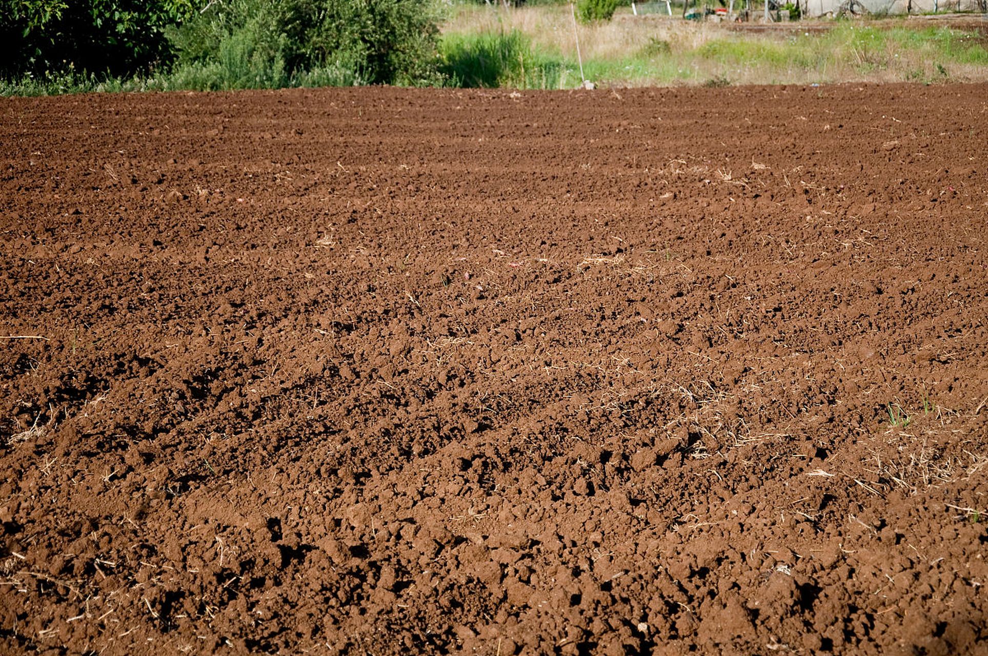土壤活化剂虽能改善土壤理化性质和提高肥力,但其中含有的重金属和有
