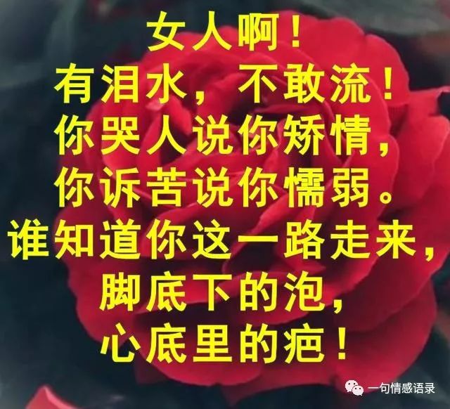 女人的苦,谁清楚,女人的累,谁体会