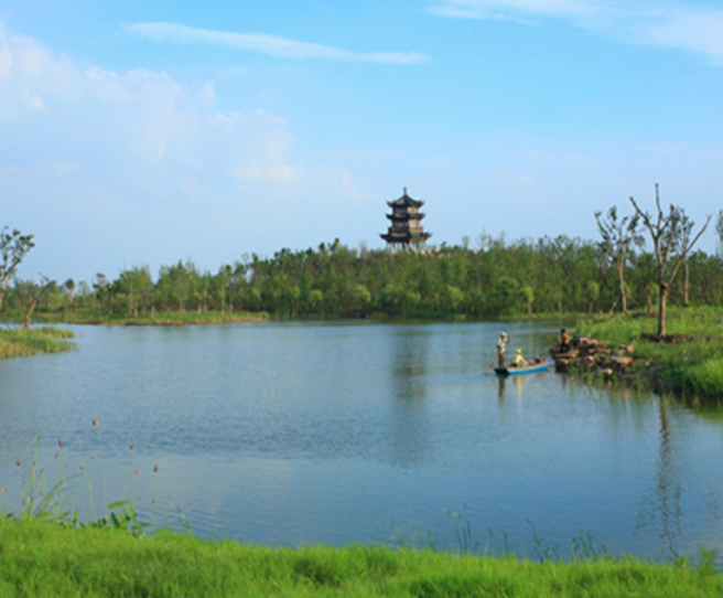 江苏扬州的宝应湖,景色优美,你不要错过!