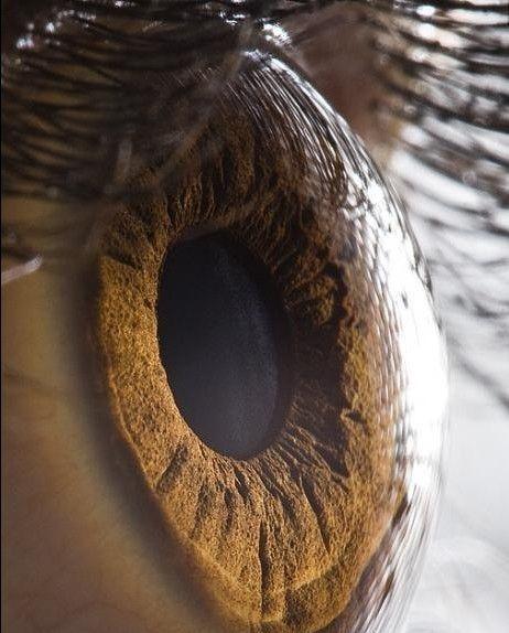 辟谣:满族人眼球都是褐色?和民族没关系,关键看这个因素!