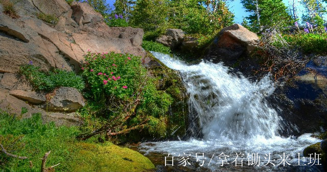 春運感悟極深的句子,文藝情深,祝一路順風