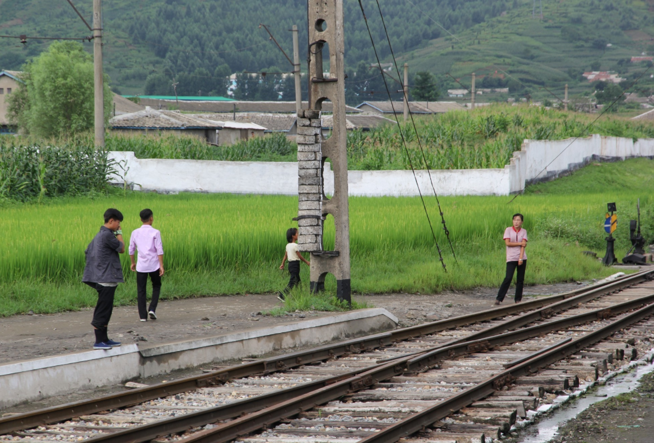 图为朝鲜农村地区,铁路沿线的农民,地里稻谷长势很好.