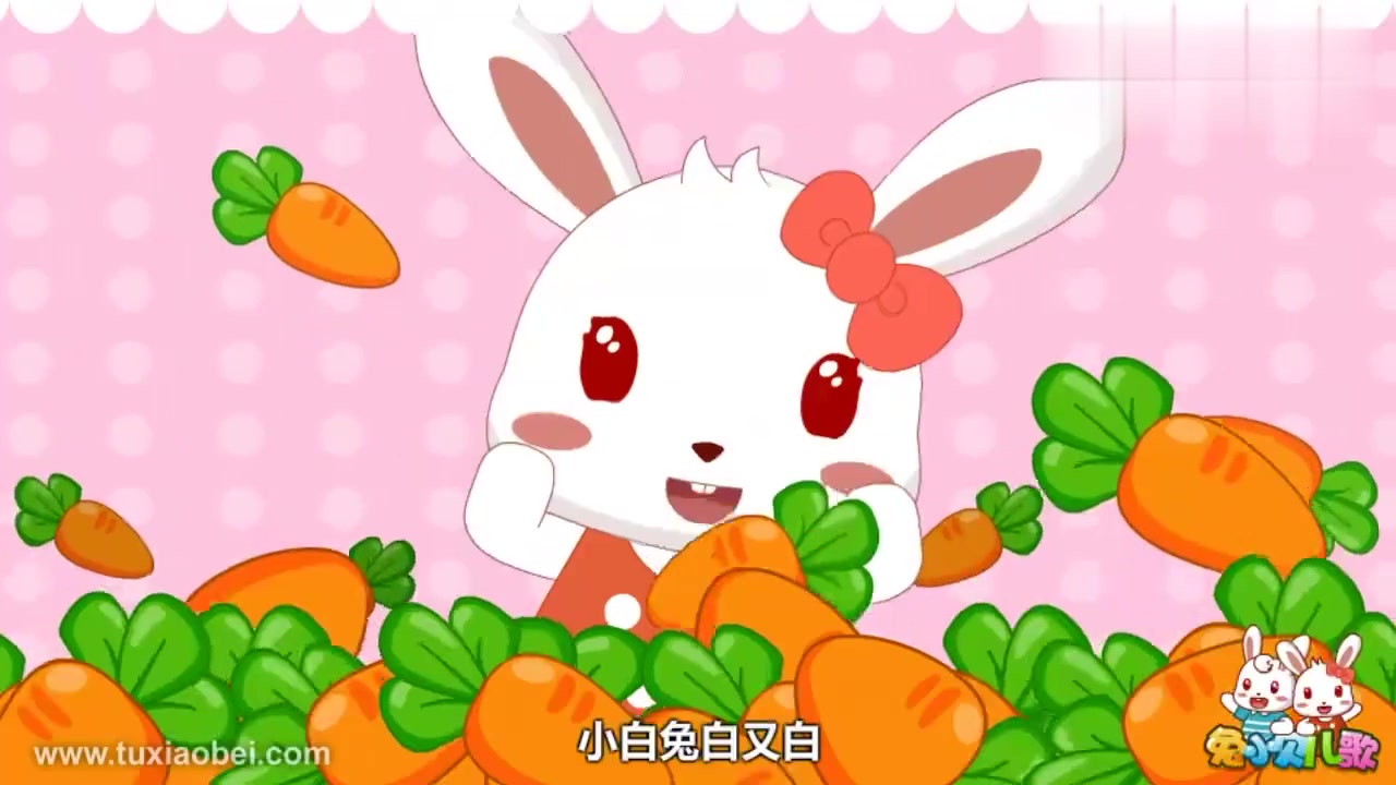 动漫壁纸:小白兔