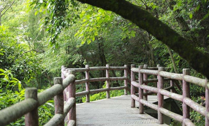 景区三横梁仿树皮栏杆