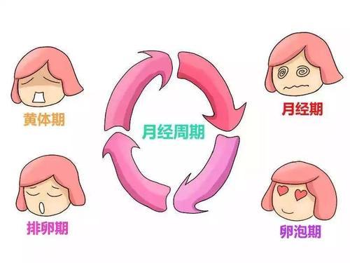 baijiahao.baidu.com