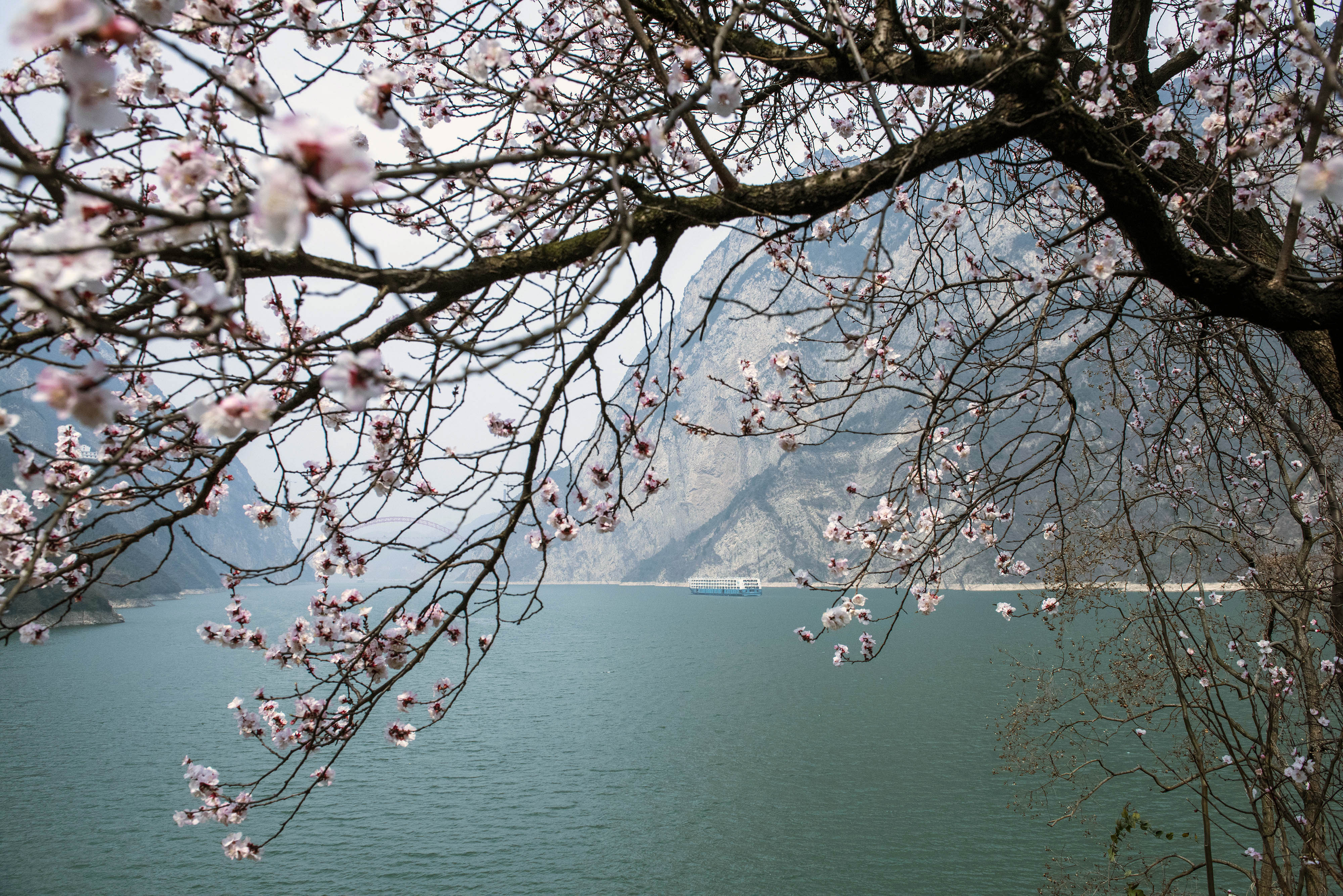 春回三峡景如画