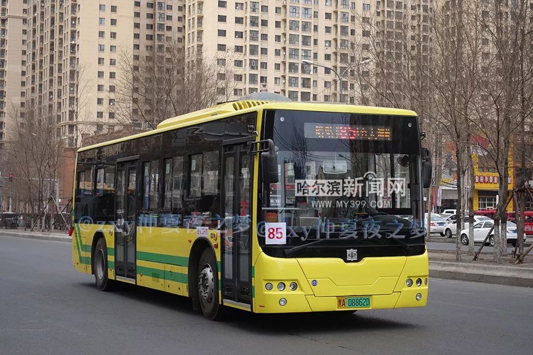 目前,中车牌公交客车在哈尔滨比较少见 85路走向图