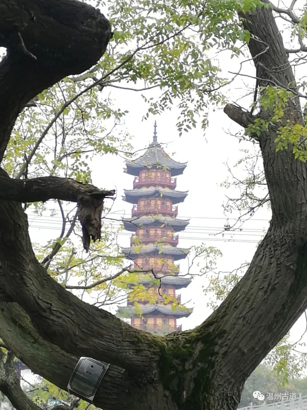 南白象——探白象塔