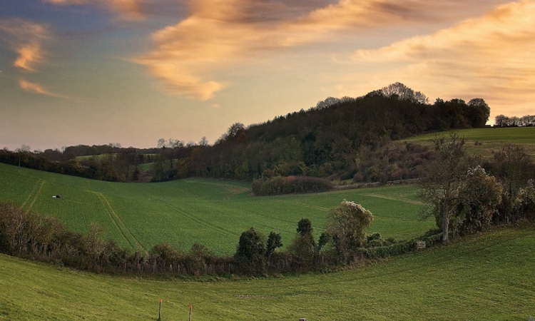 视野开阔的大草原,一望无际的天空,让人心旷神怡.
