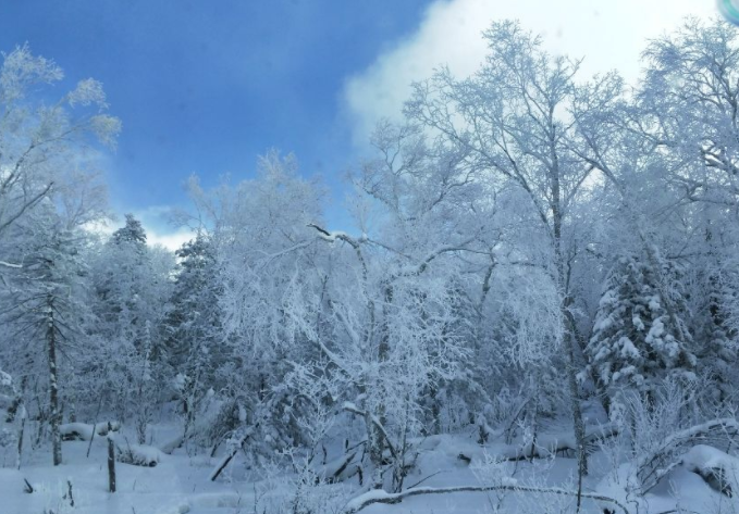 雪的世界—东北冬季旅游必看的牡丹江市大秃顶子山雪景!