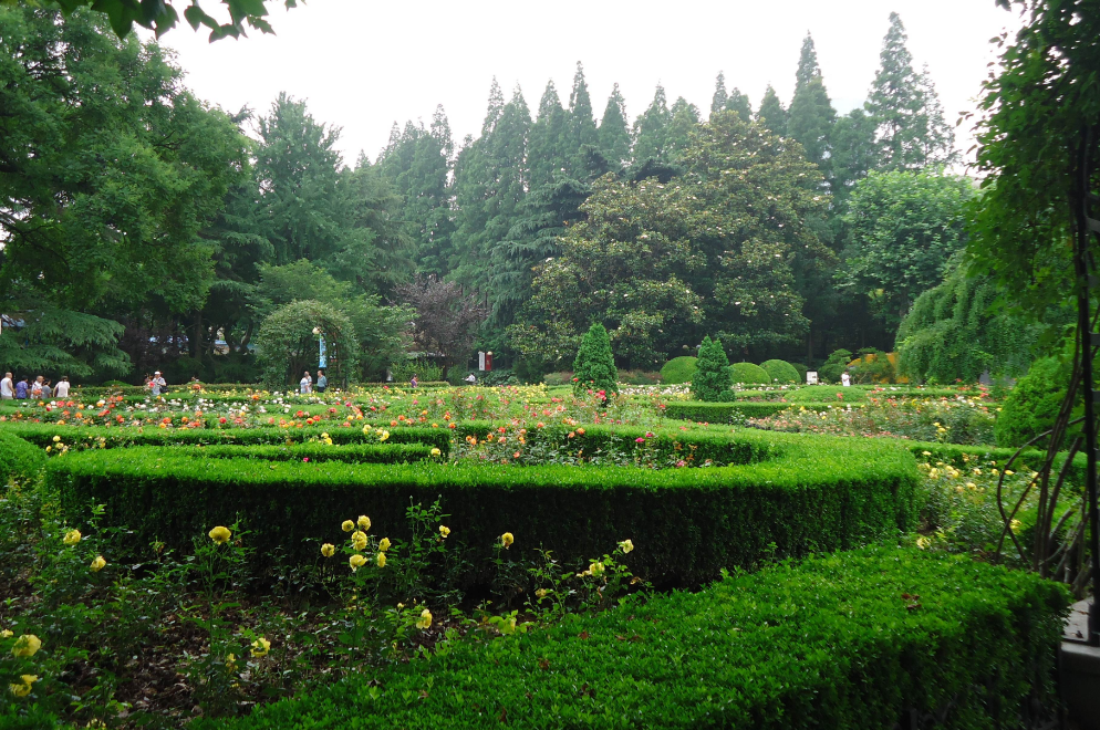 上海乔灌木种类最多的公园,140多种1万多株,法国式园林风格