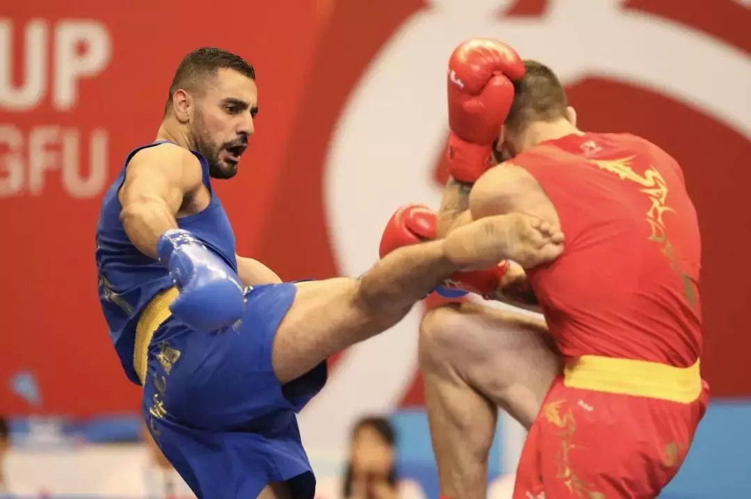 (独家)蔡仲林:第九届散打世界杯的亮点和遗憾!