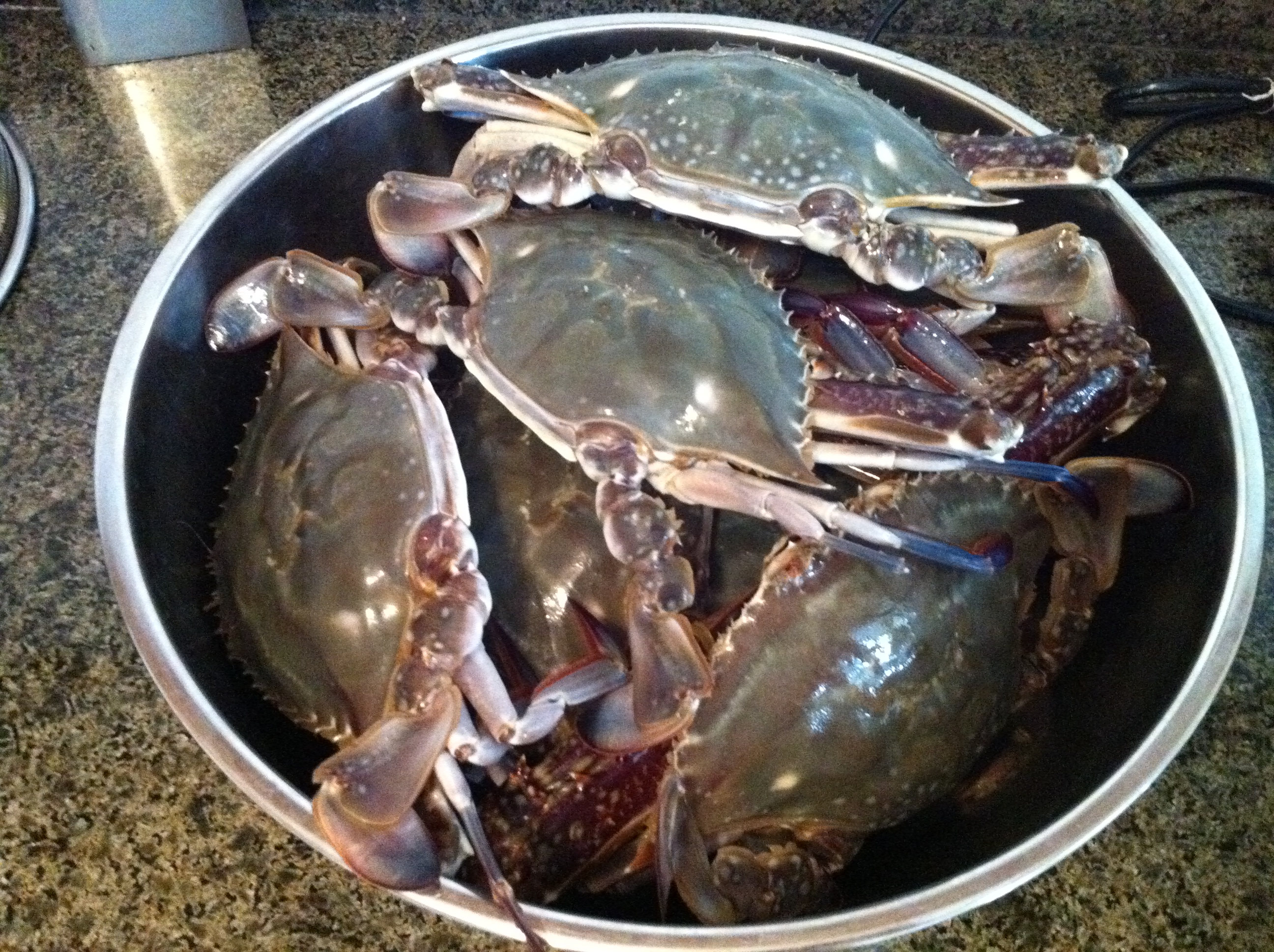 55岁厨娘:这四类食材不能直接用清水淘洗,容易越洗越脏