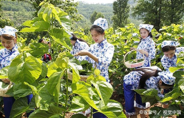 犹是晓晴风露下,采桑时节暂相逢