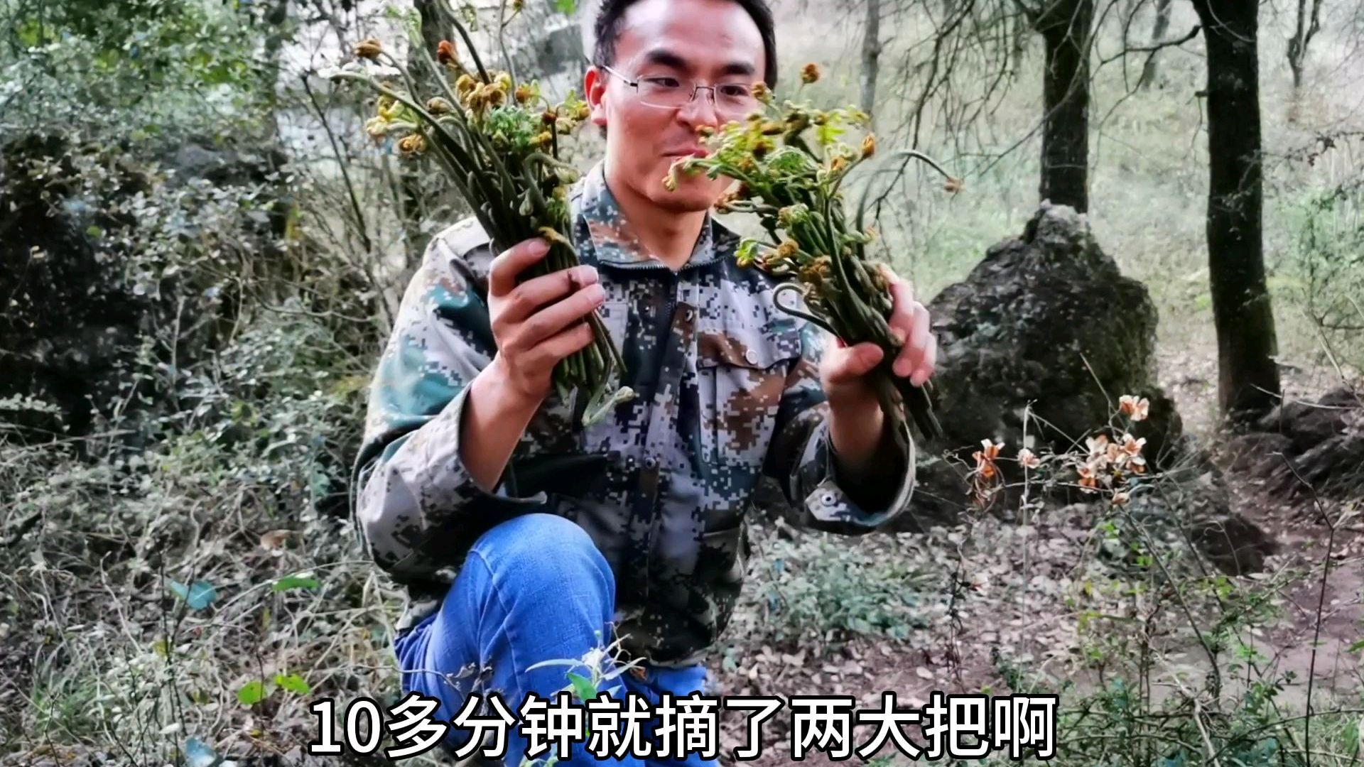 2020蕨菜新上市,丁丁进山10分钟收获两大把,哪些能吃你知道吗?