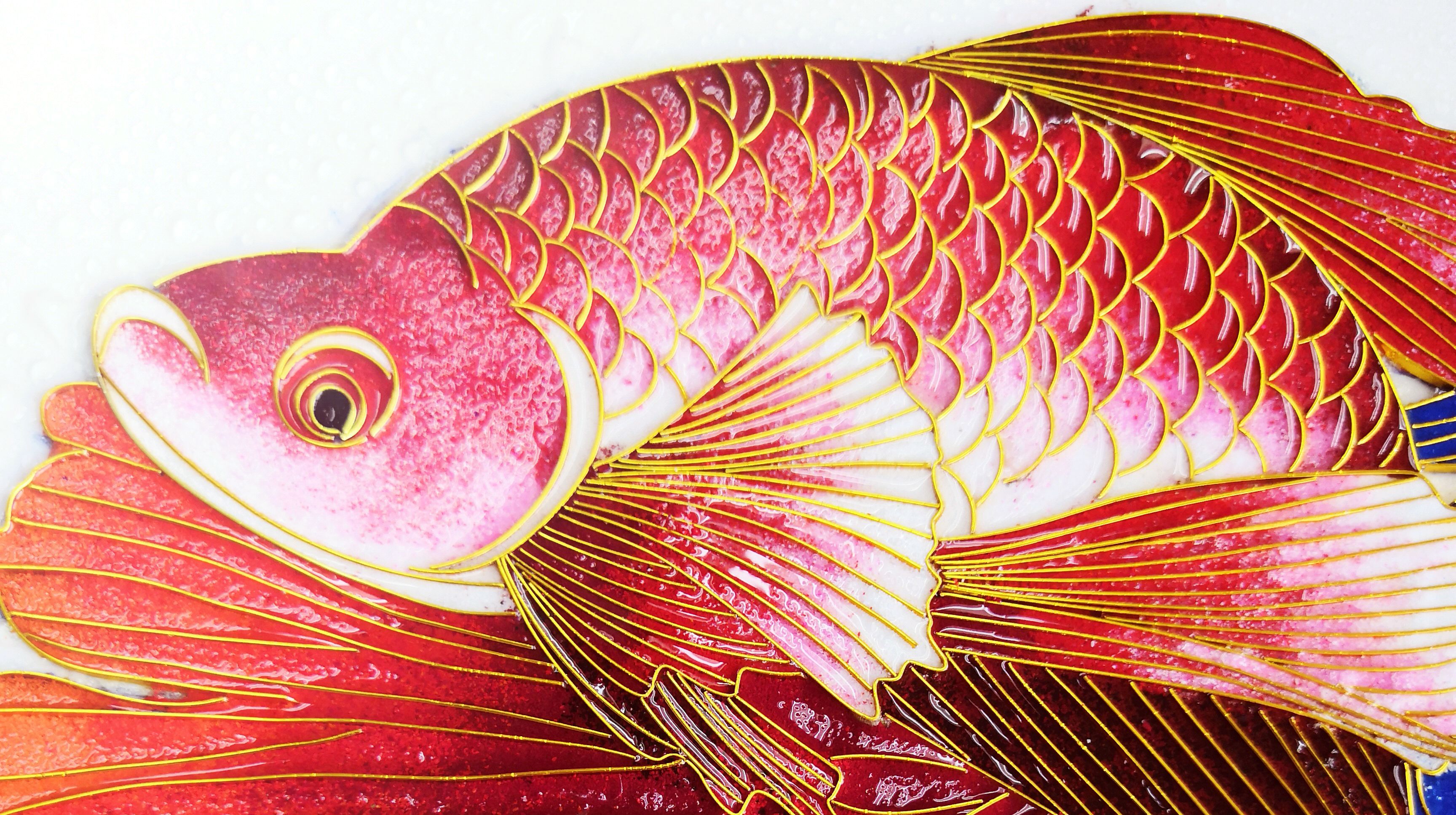 景泰蓝盘画孔雀鱼——晴天制作