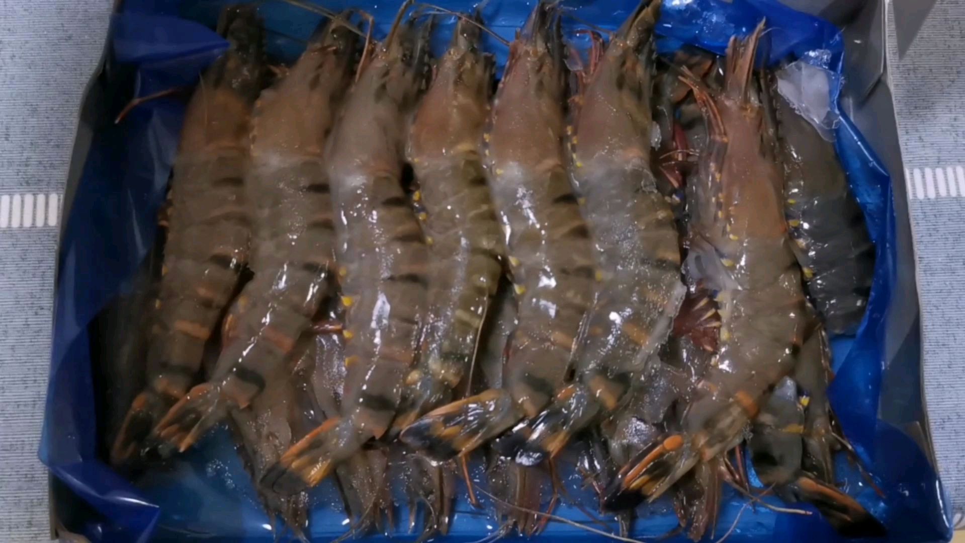 5块钱一只的黑虎虾小伙拿来油焖 媳妇直说小伙败家 油焖黑虎虾