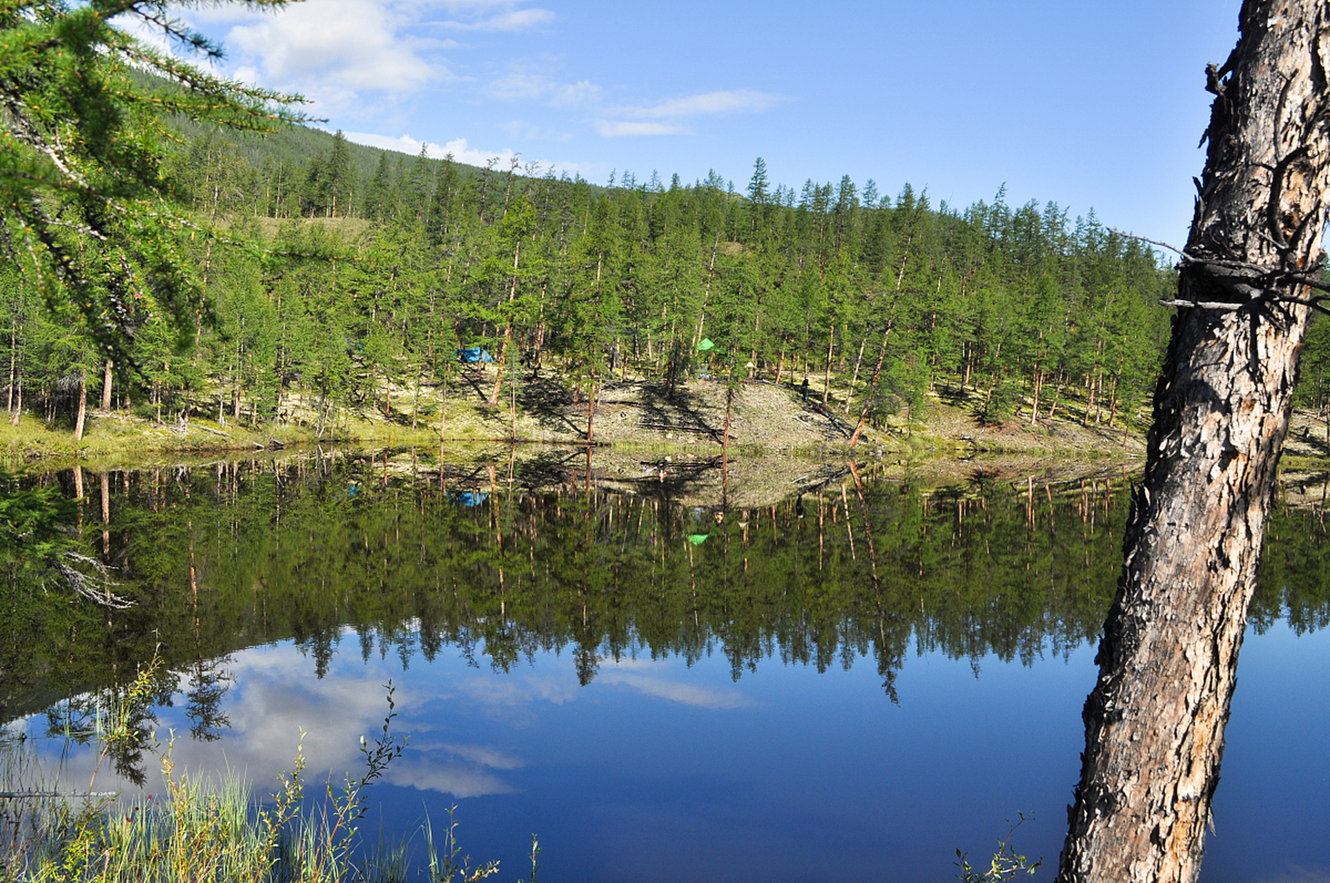 0#阿尔山·柴河旅游景区,坐落于内蒙古东部,交通便捷,是黄金旅游区.