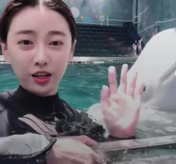 抖音"海豚女神"火了,脱下泳衣的那一刻,网友:感觉自己被撩了