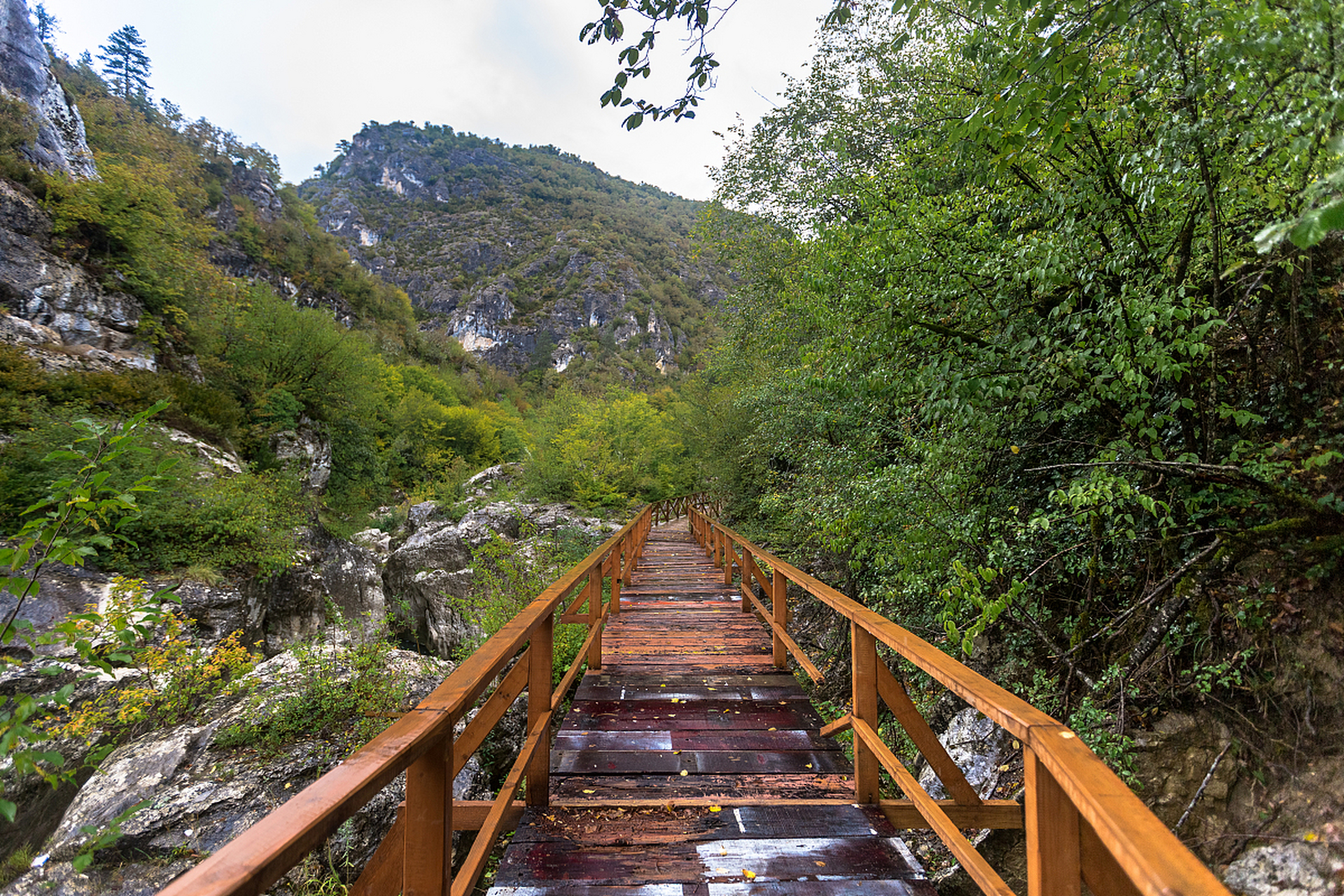 洛阳市嵩县东南部的木札岭原始生态旅游区,将是您不容错过的理想之地!