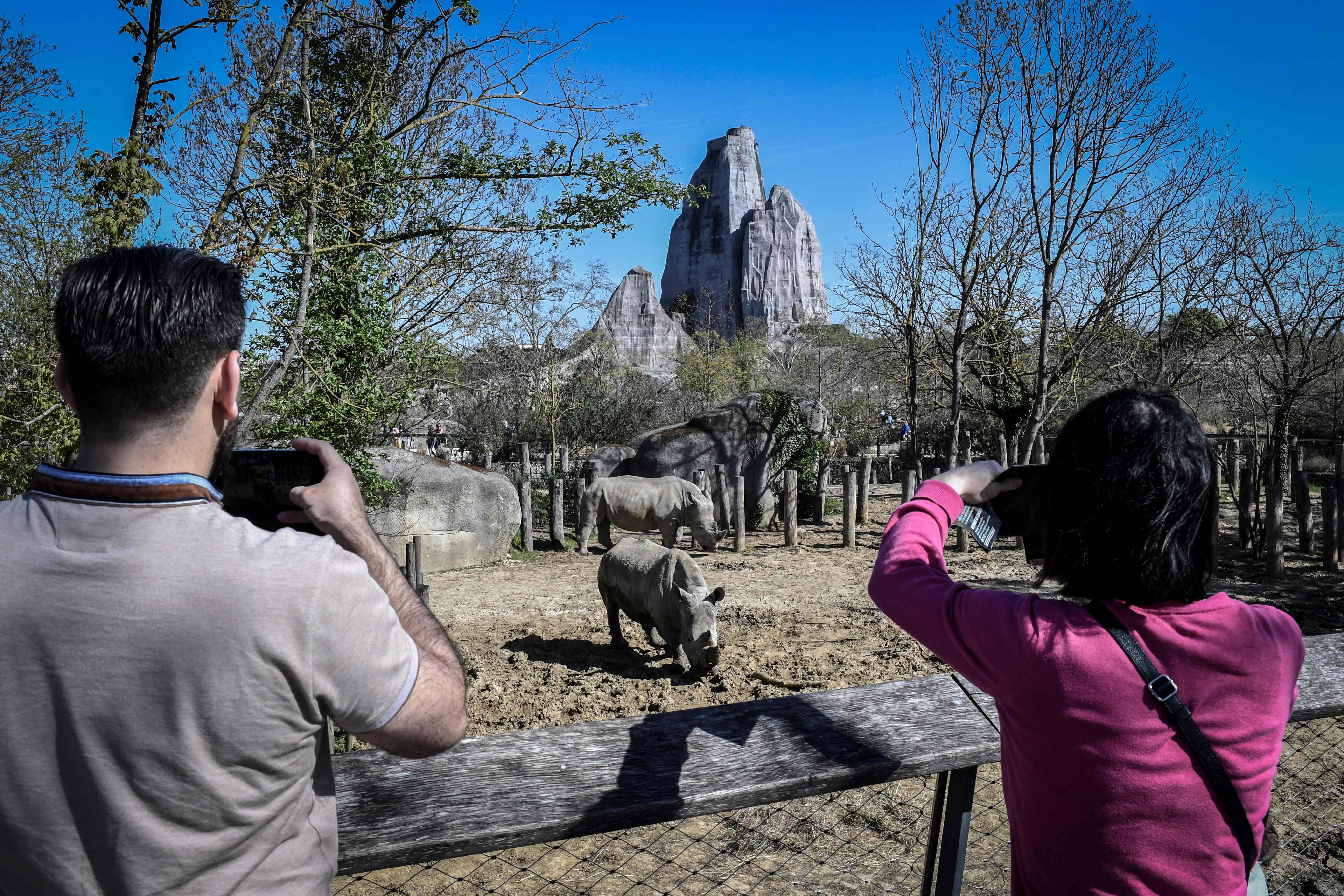 巴黎万塞讷动物园(16)