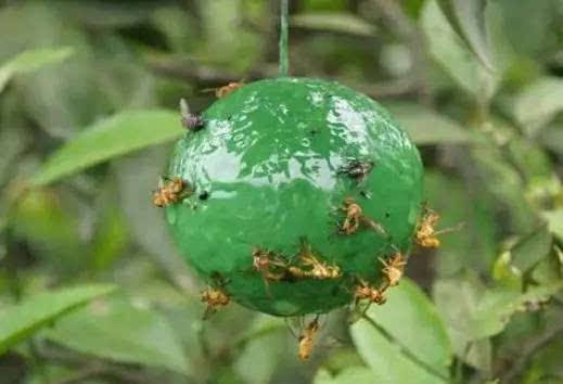 灭- 优质问答专区