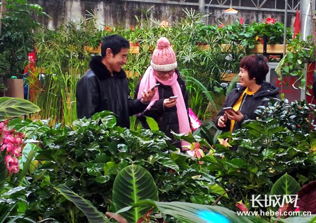 花卉俏销迎新年