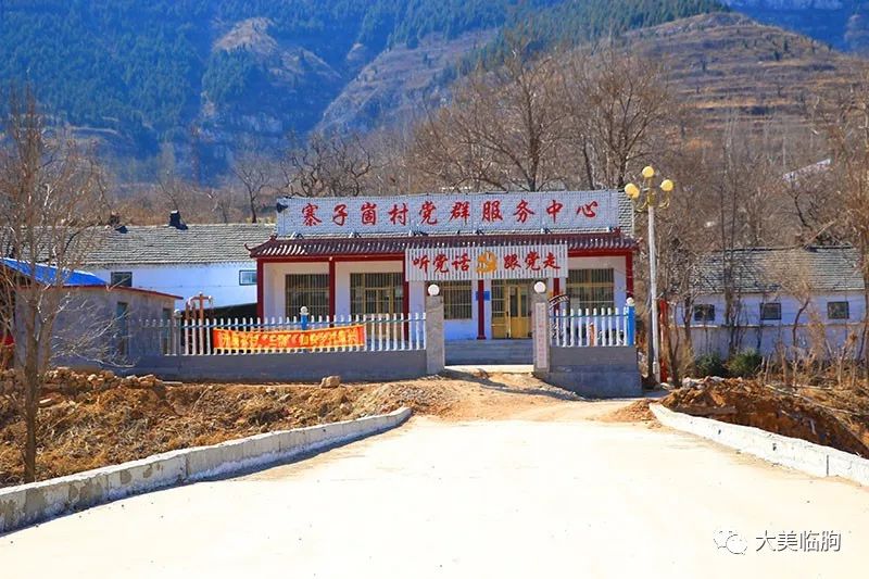 满墙都是富贵花,临朐的这个村美大了