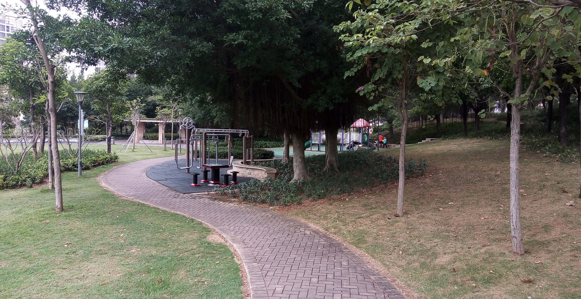 深圳龙岗紫麟山公园实拍,你们来这里走过吗?