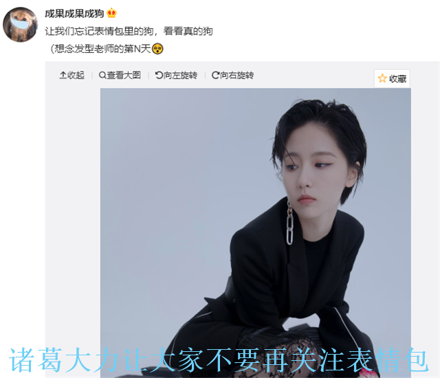 诸葛大力直播人气遭遇滑铁卢!一晚只收到一万多礼物,粉丝去哪了