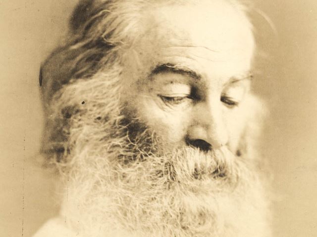 来自美国著名诗人:沃尔特惠特曼