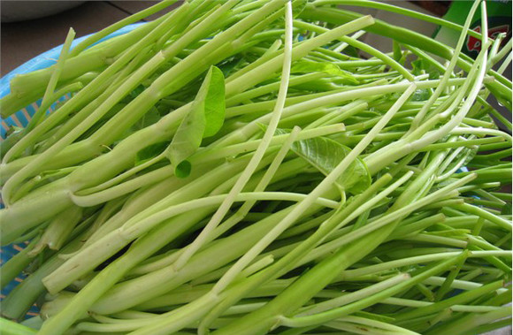 家常爆炒空心菜梗,油可以多放,炒菜速度要快,菜梗口感更爽脆