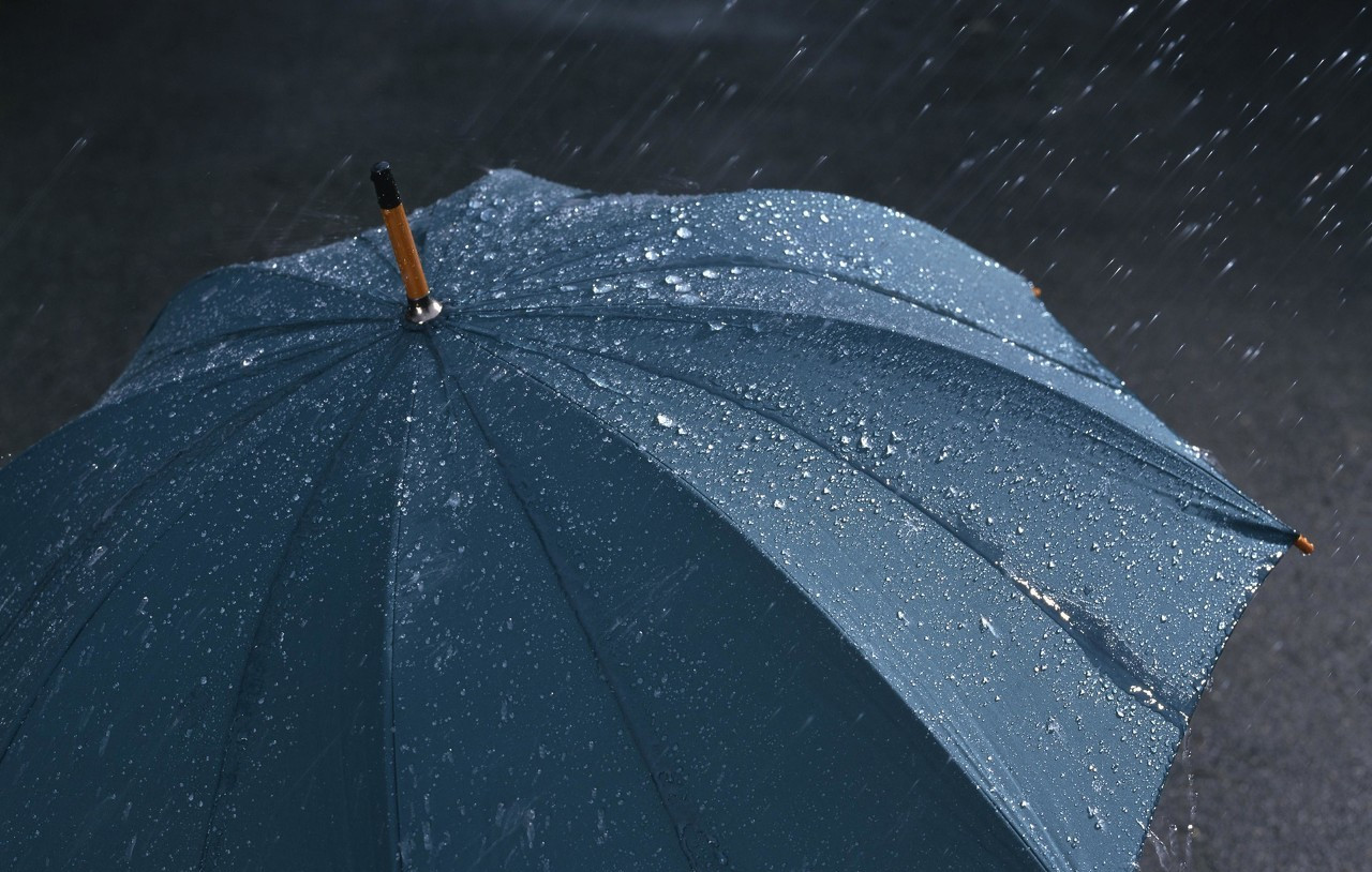 生活如雨,有伞就好(经典)