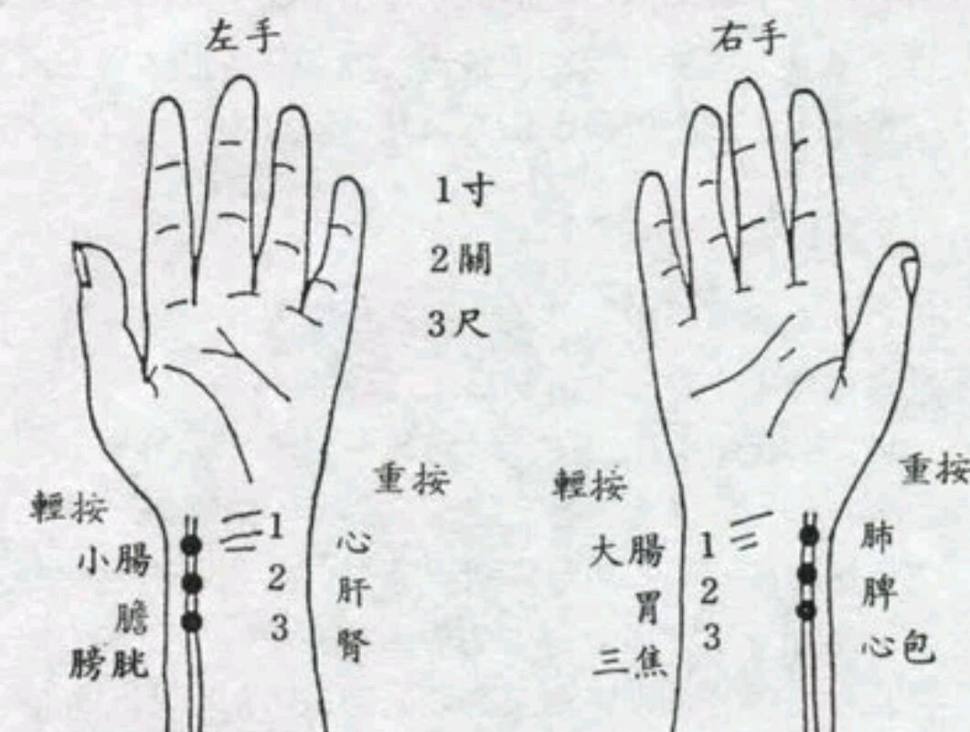 仙家号脉位置图手腕图片