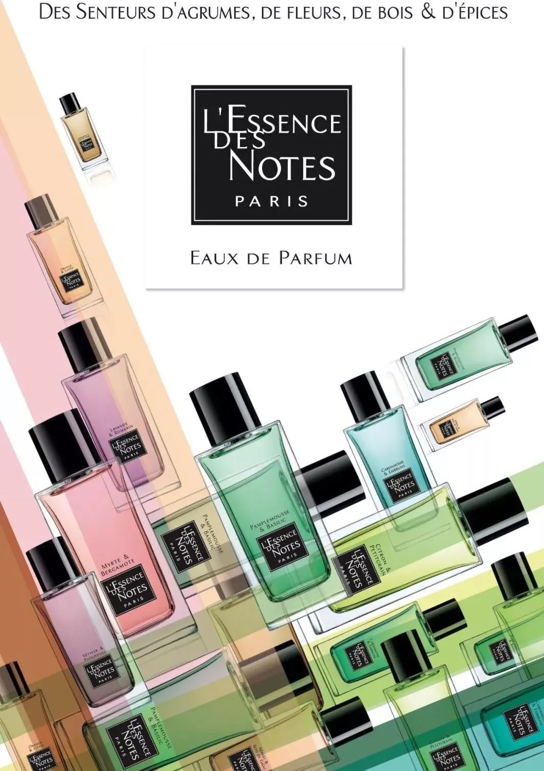 难民女孩的逆袭,pierrefabre爱女huongmangin的奇幻人生