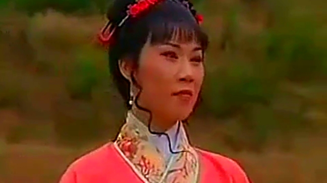 豫剧 泪洒相思地 07