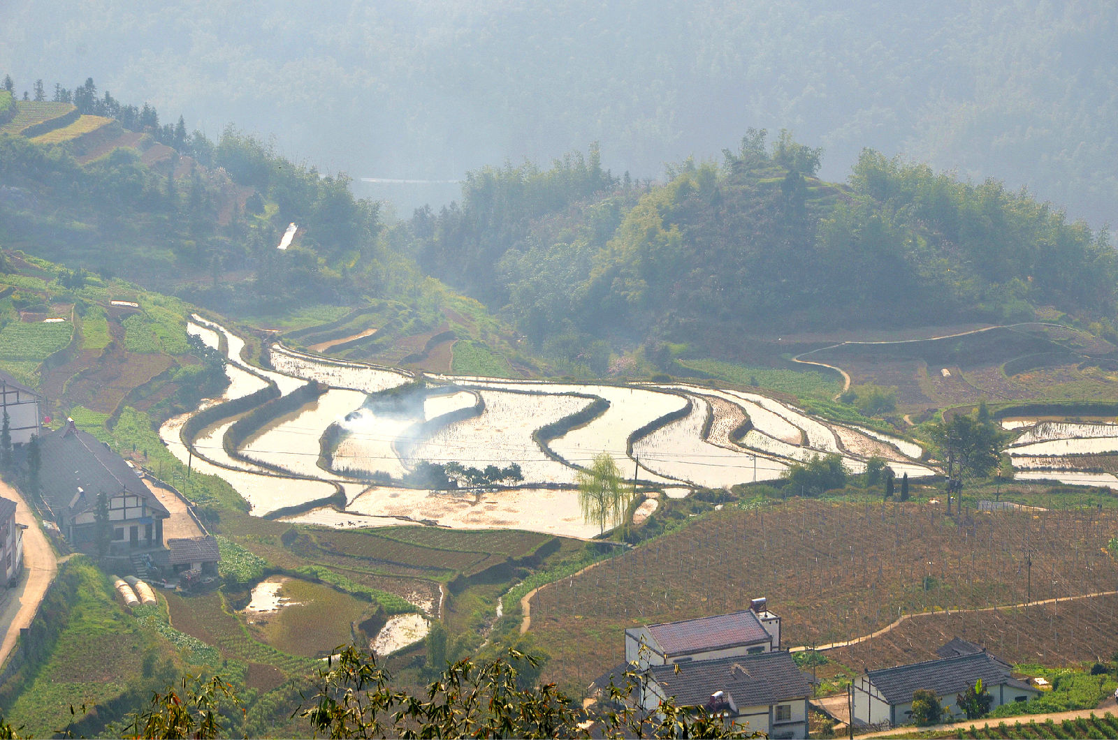 盤點負氧離子豐富的公園,你去過北京市景山公園,重慶市黑山谷景區嗎