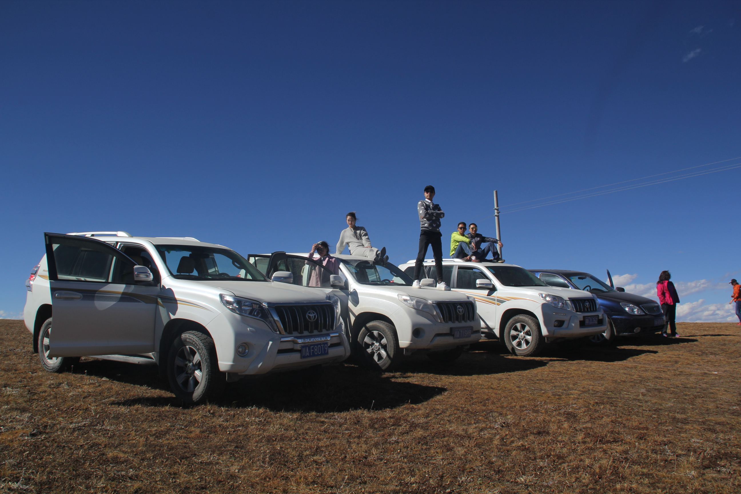 五大进藏神车,最便宜的仅5万起,陆巡也不得不服