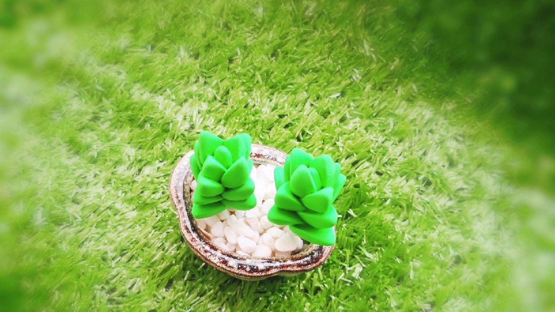 超轻粘土制作多肉植物纪之川