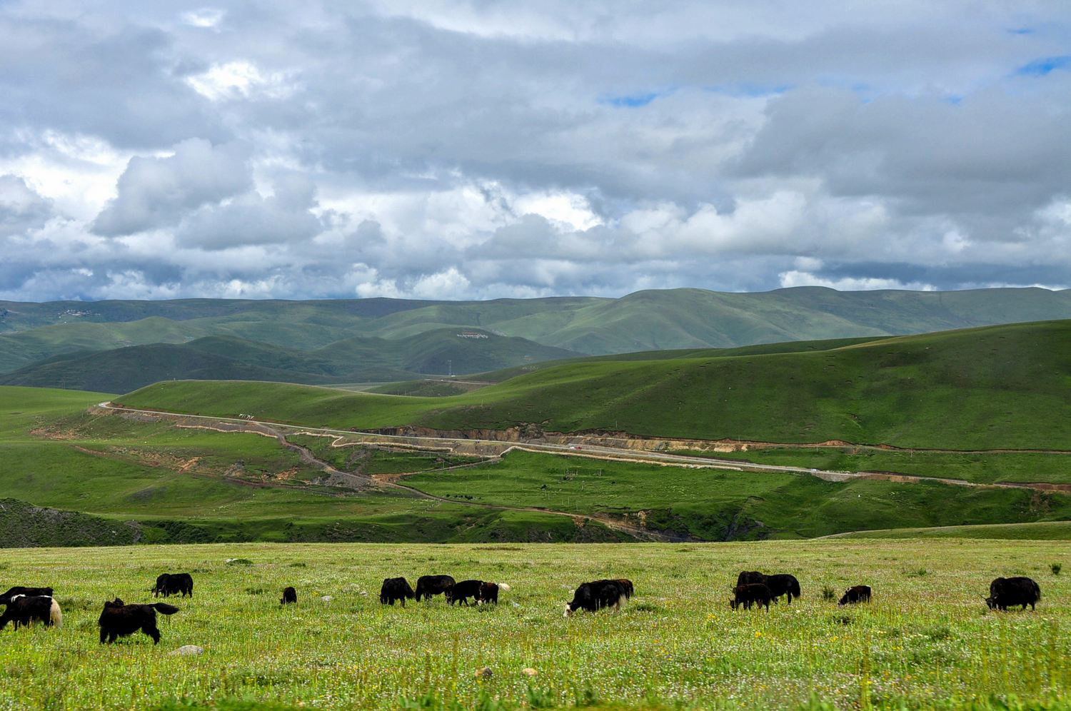 四川康定塔公草原自然风光