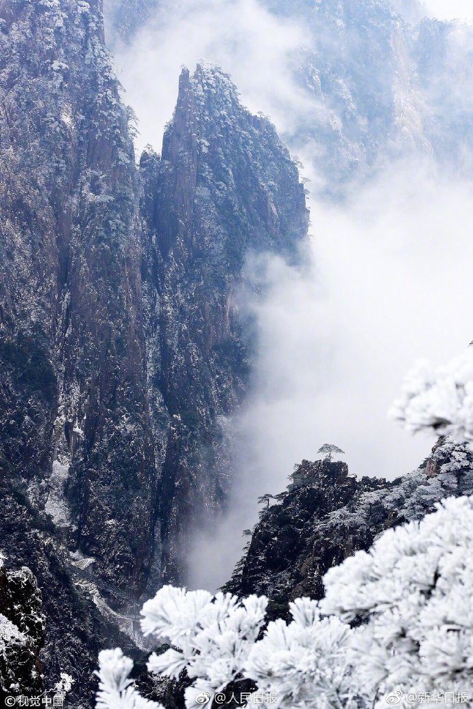 安徽黄山迎初雪!八百里黄山银装素裹,皑皑白雪与奇松怪石相辉映