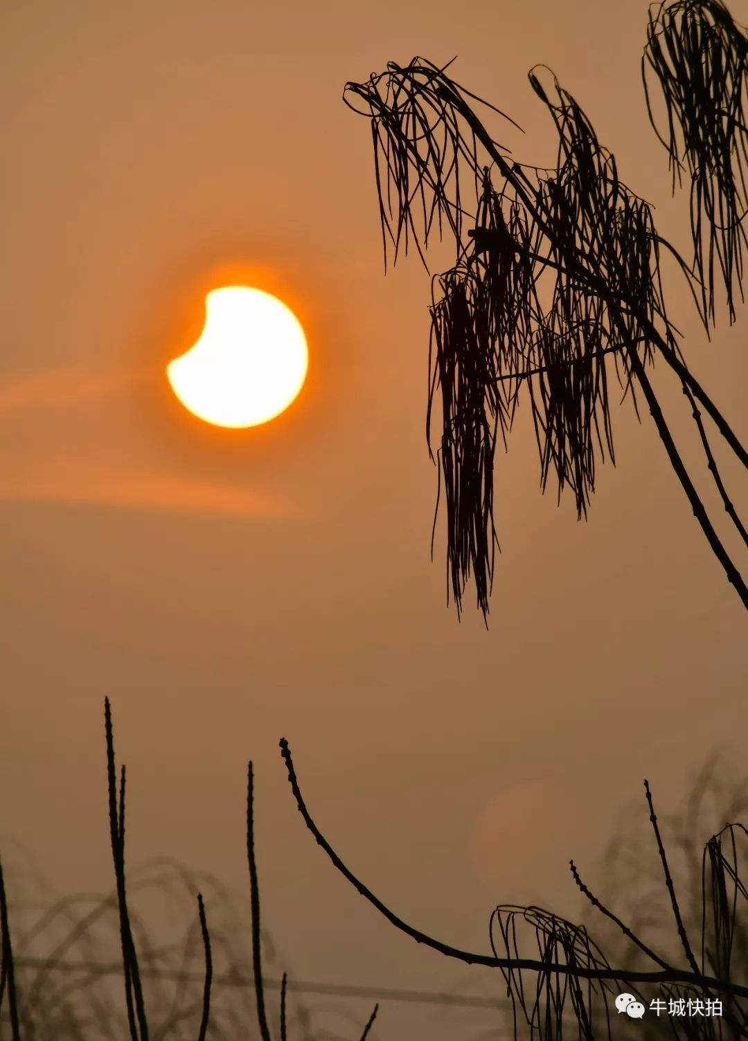 今天的"带食日出"你看到了吗?