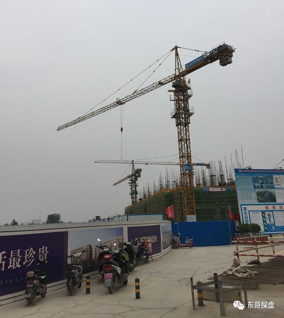 「蓝城玫瑰园」;低调一年半而焕发生机,她魅力还在吗?