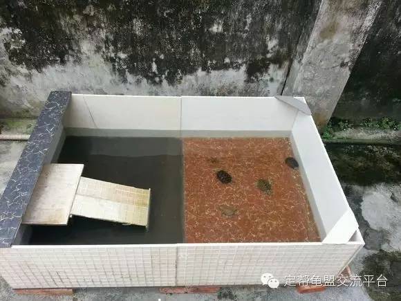瓷砖龟池底座如何防漏水