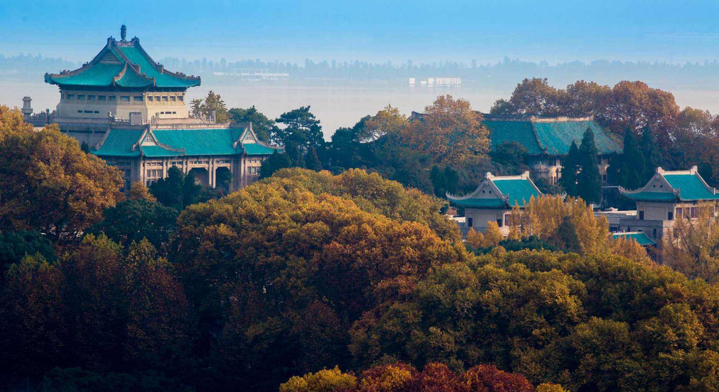 最美校园#02武汉大学:武汉大学是国家教育部直属重点综合性大学,是