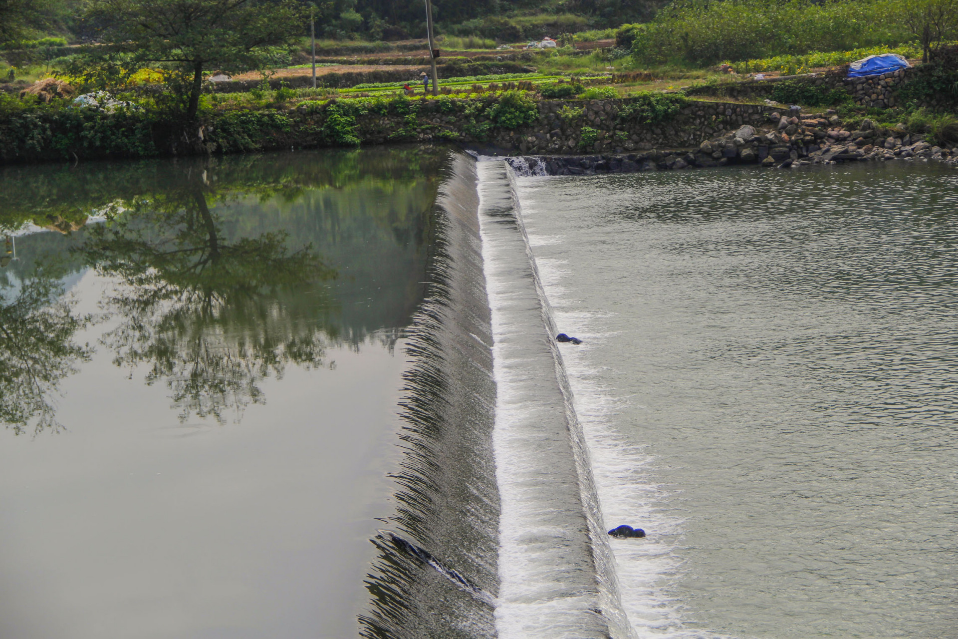 世间万物,起心动念,心之所至,却又因各有不同的意识而有所差别.