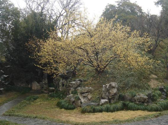 名作赏析:梅花岭与《梅花岭记》