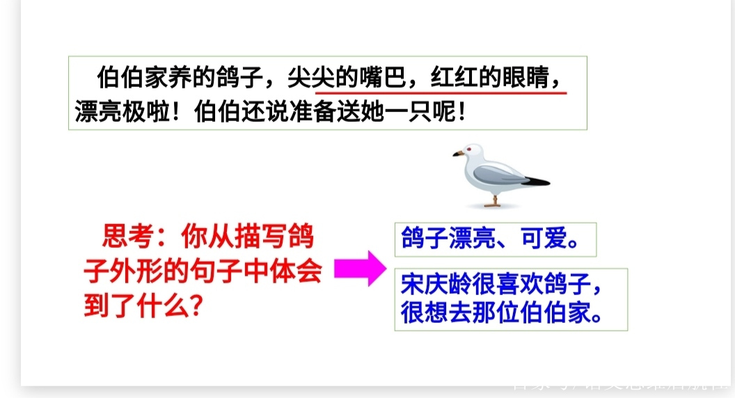 三年級語文課文《我不能失信》知識點詳解