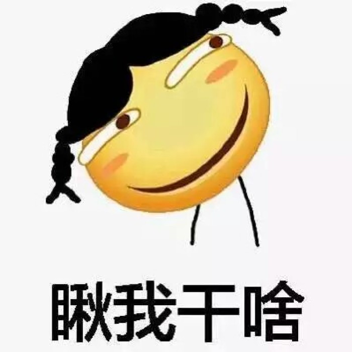 狗狗咬不到乌龟的头就说它是缩头乌龟,是这样的吗