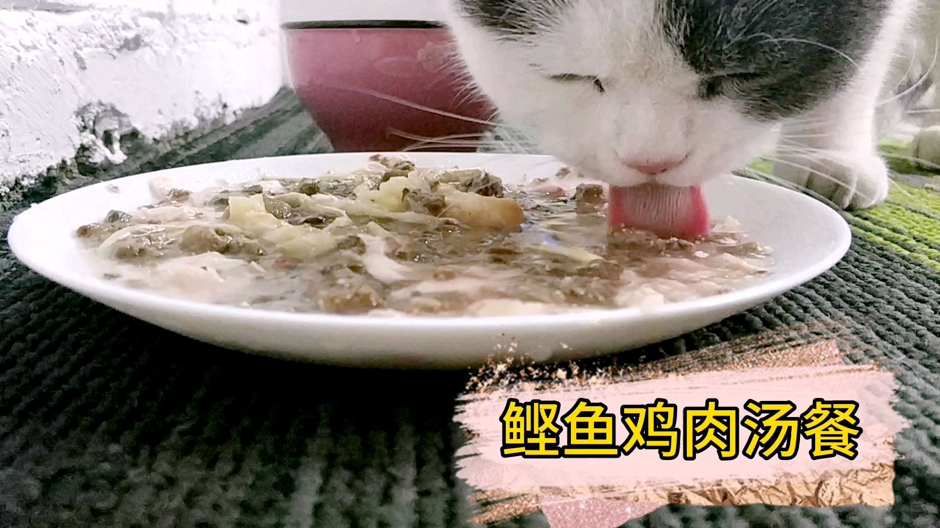 天天吃猫粮?不!鲣鱼鸡肉汤走起!